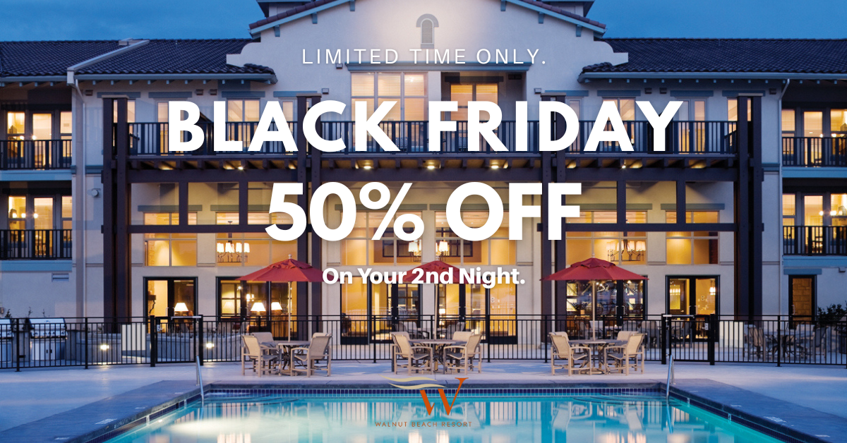 Black Friday Winter Special 2025